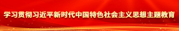 操亚洲女人逼学习贯彻习近平新时代中国特色社会主义思想主题教育